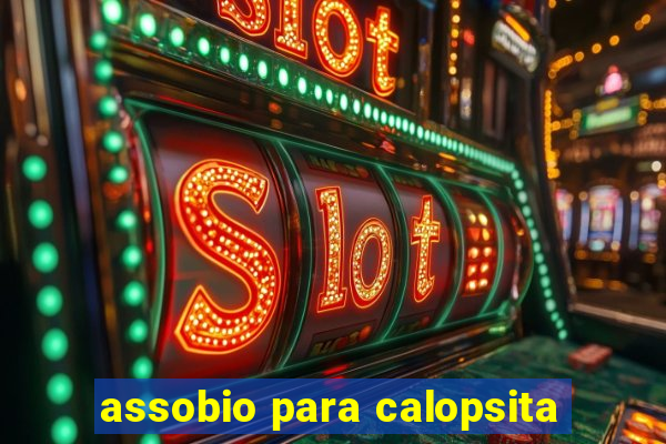 assobio para calopsita